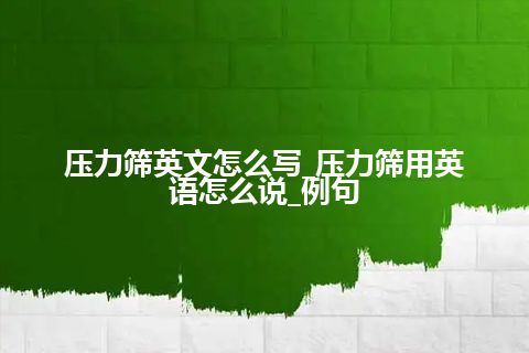 压力筛英文怎么写_压力筛用英语怎么说_例句