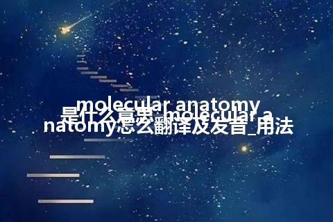 molecular anatomy是什么意思_molecular anatomy怎么翻译及发音_用法