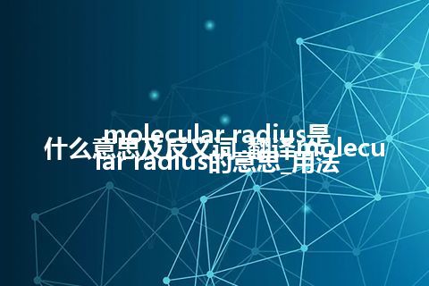 molecular radius是什么意思及反义词_翻译molecular radius的意思_用法