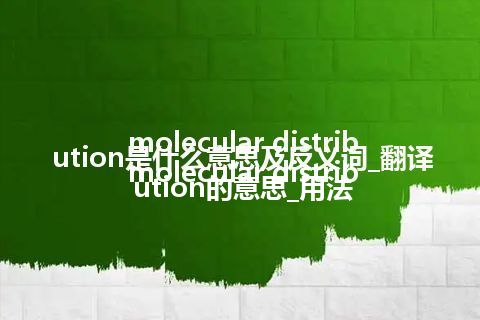 molecular distribution是什么意思及反义词_翻译molecular distribution的意思_用法