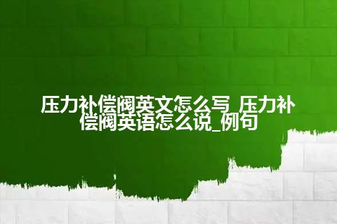 压力补偿阀英文怎么写_压力补偿阀英语怎么说_例句