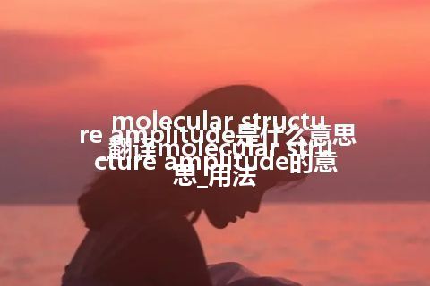 molecular structure amplitude是什么意思_翻译molecular structure amplitude的意思_用法