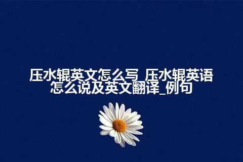 压水辊英文怎么写_压水辊英语怎么说及英文翻译_例句