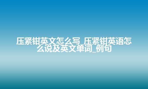 压紧钳英文怎么写_压紧钳英语怎么说及英文单词_例句