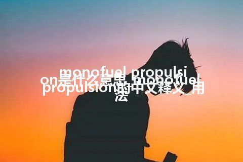 monofuel propulsion是什么意思_monofuel propulsion的中文释义_用法