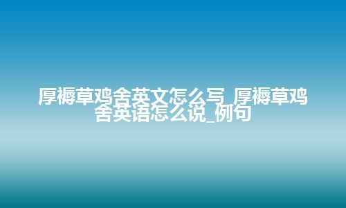 厚褥草鸡舍英文怎么写_厚褥草鸡舍英语怎么说_例句