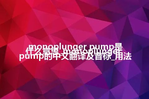 monoplunger pump是什么意思_monoplunger pump的中文翻译及音标_用法