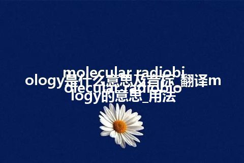 molecular radiobiology是什么意思及音标_翻译molecular radiobiology的意思_用法