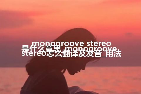 monogroove stereo是什么意思_monogroove stereo怎么翻译及发音_用法