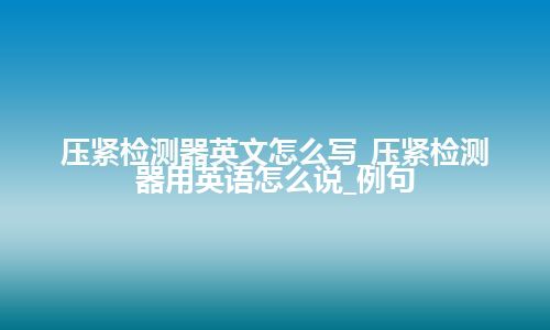 压紧检测器英文怎么写_压紧检测器用英语怎么说_例句