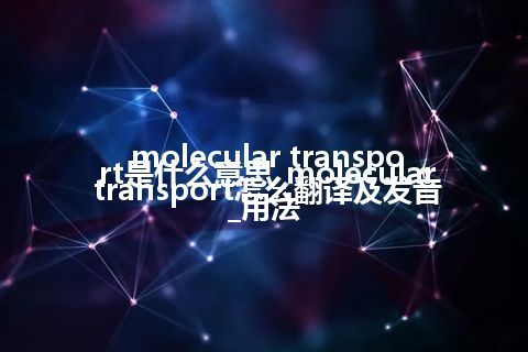 molecular transport是什么意思_molecular transport怎么翻译及发音_用法