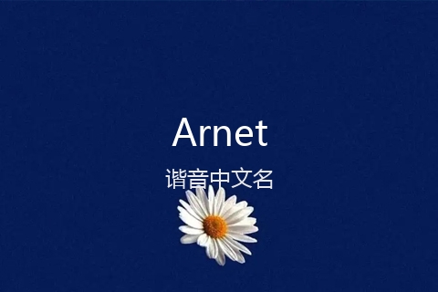 英文名Arnet的谐音中文名