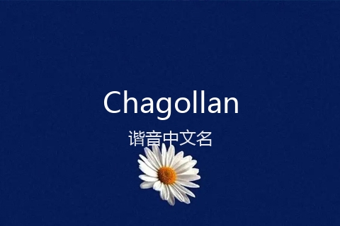 英文名Chagollan的谐音中文名