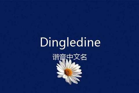 英文名Dingledine的谐音中文名