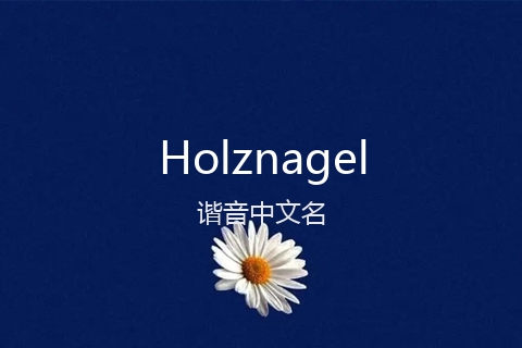 英文名Holznagel的谐音中文名