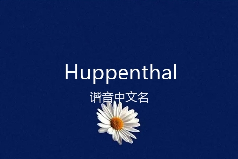 英文名Huppenthal的谐音中文名