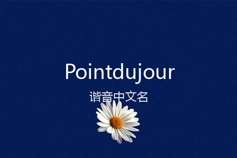 英文名Pointdujour的谐音中文名