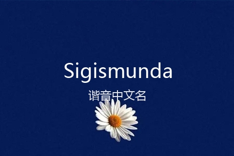 英文名Sigismunda的谐音中文名