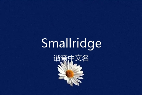 英文名Smallridge的谐音中文名