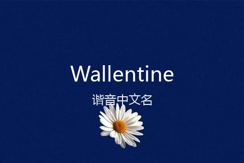 英文名Wallentine的谐音中文名