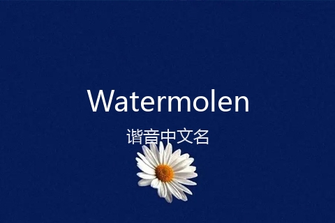 英文名Watermolen的谐音中文名